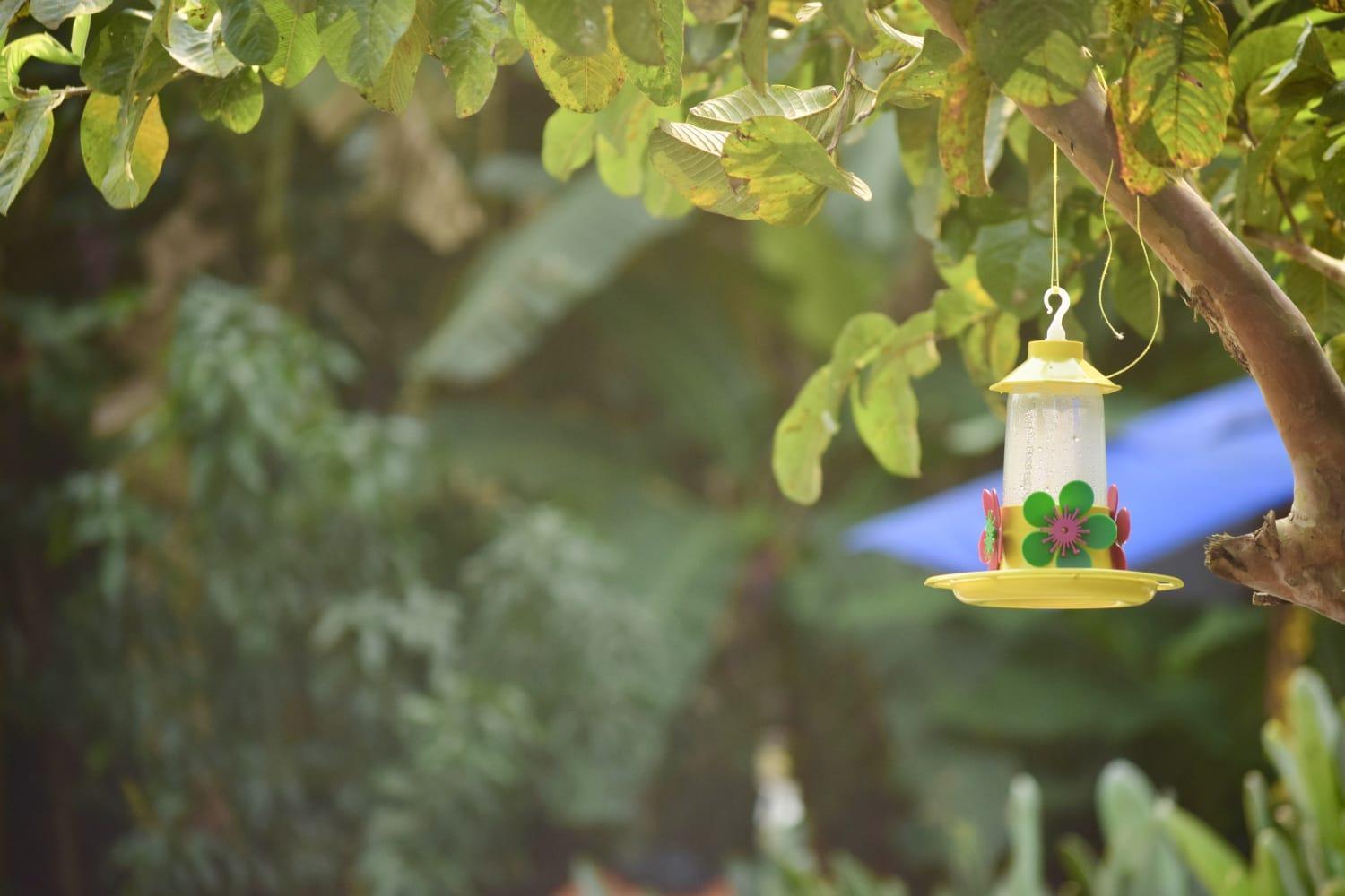 Hostel Tropico De Capricornio - Tenorio Ubatuba Kültér fotó